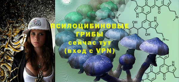 прущая мука Армянск