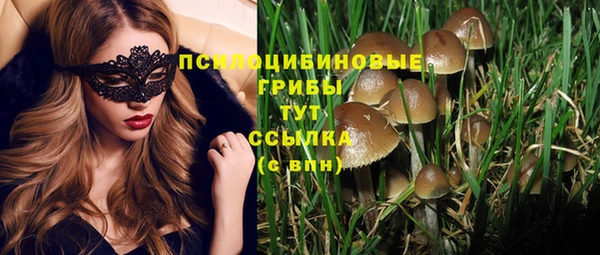 ПСИЛОЦИБИНОВЫЕ ГРИБЫ Аркадак