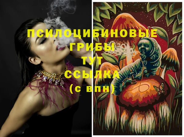 прущая мука Армянск
