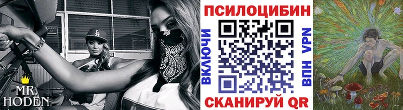 Псилоцибиновые грибы мухоморы  как найти закладки  Кубинка 