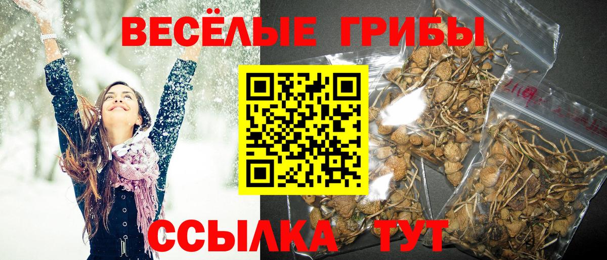 Галлюциногенные грибы GOLDEN TEACHER Кубинка