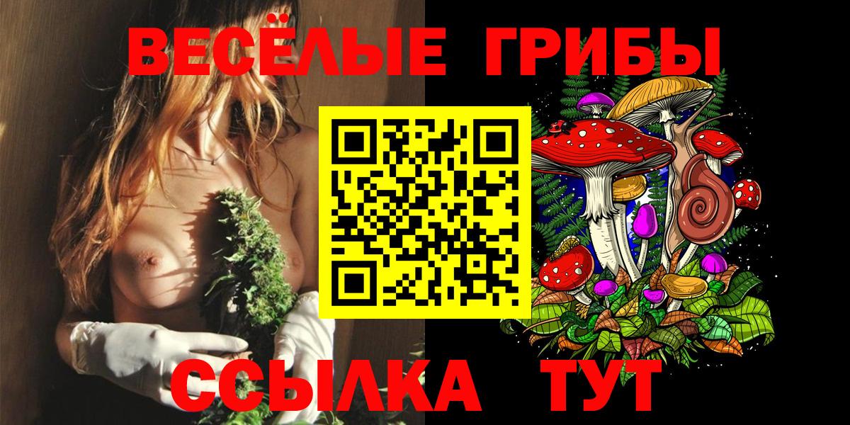 Псилоцибиновые грибы MAGIC MUSHROOMS  Вход с VPN  Кубинка 